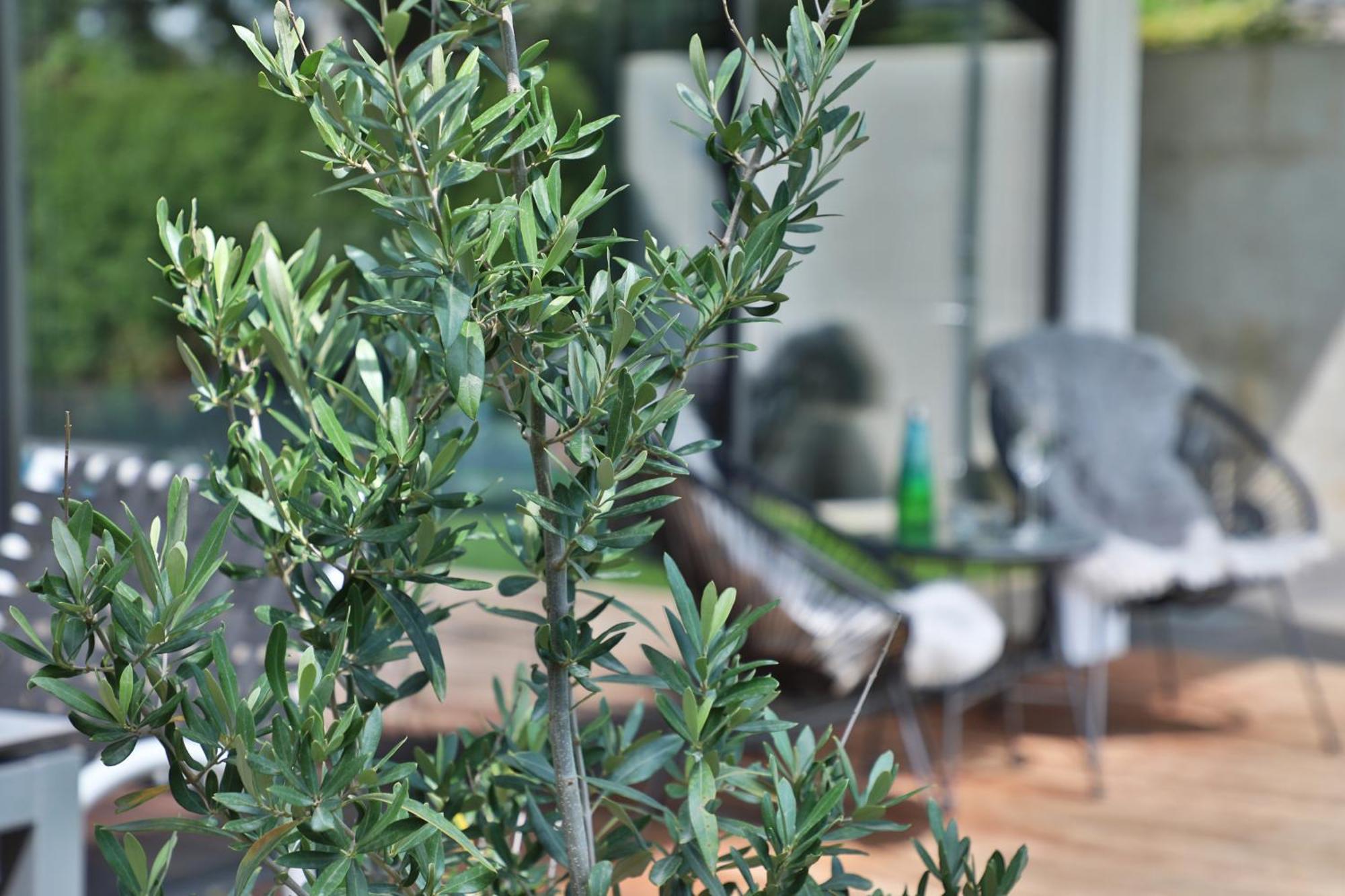Modernes Studio-apartment Apartment